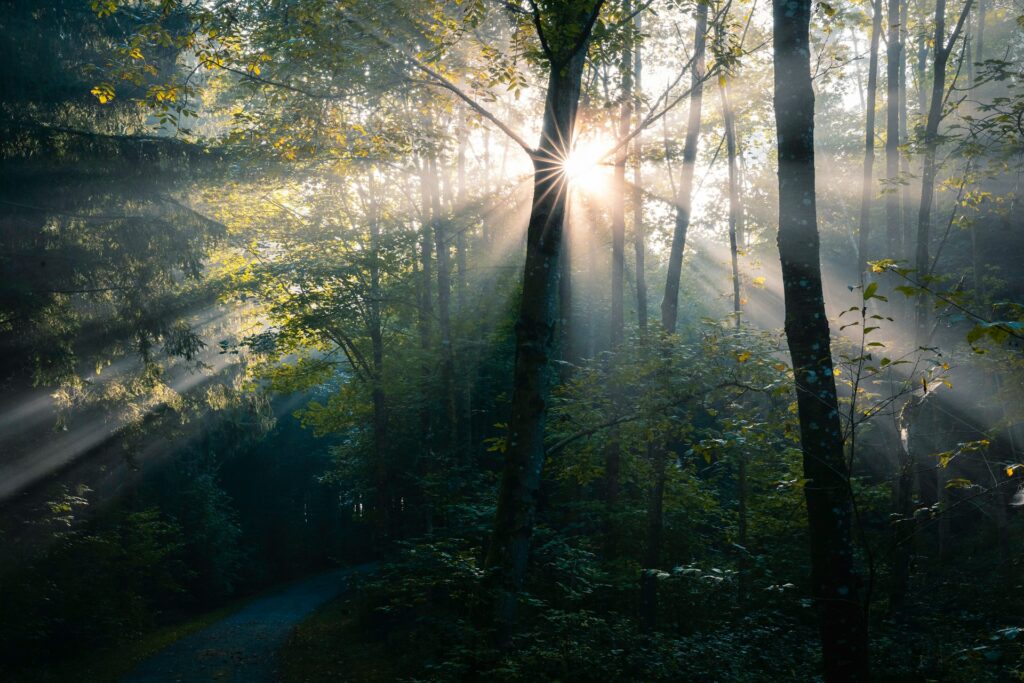 effects of a reiki session emotional mental peace